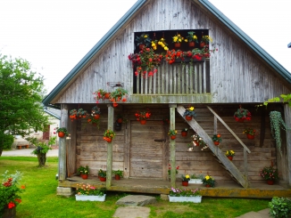 Vasara Žiobiškyje, 2013