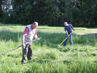 Beržų garbinimo šventė - Sekminės