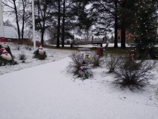 Skverelyje apsigyveno nykštukai 